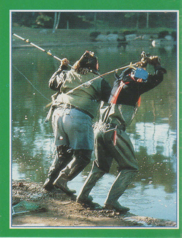 MERLIN COLLECTABLE POWER RANGERS STICKER #171