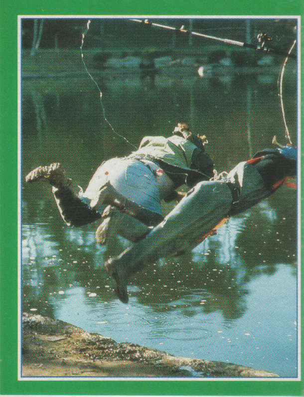 MERLIN COLLECTABLE POWER RANGERS STICKER #172
