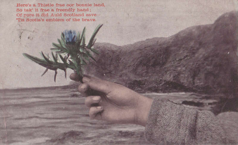 USED POST CARD 1904