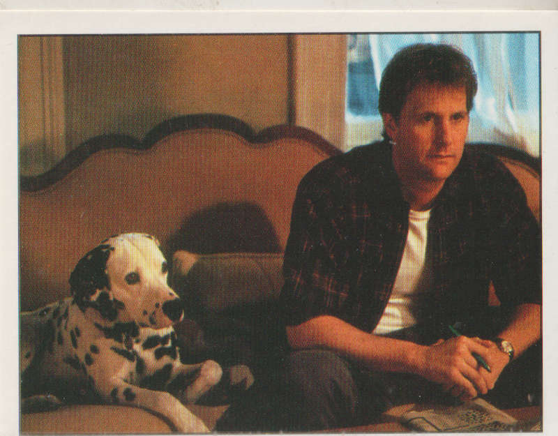 PANINI DISNEYS 101 DALMATIANS COLLECTABLE STICKERS #67