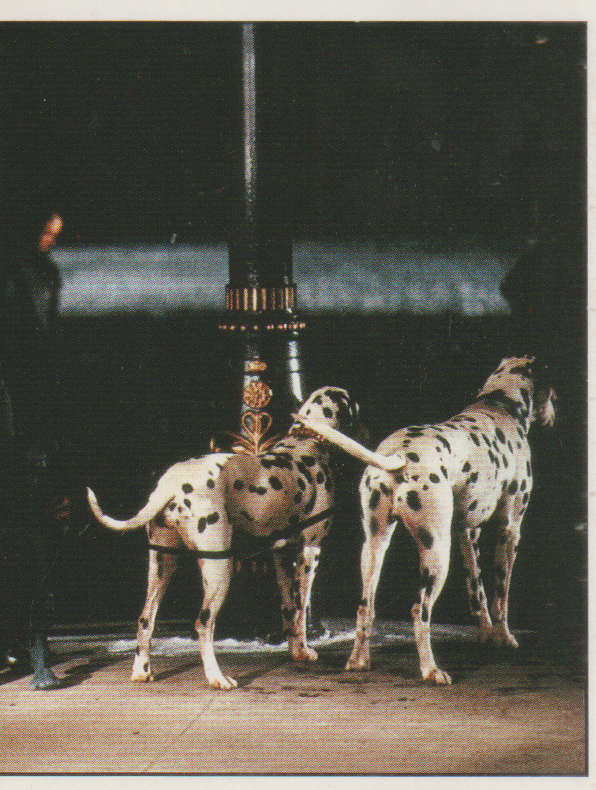PANINI DISNEYS 101 DALMATIANS COLLECTABLE STICKERS #84