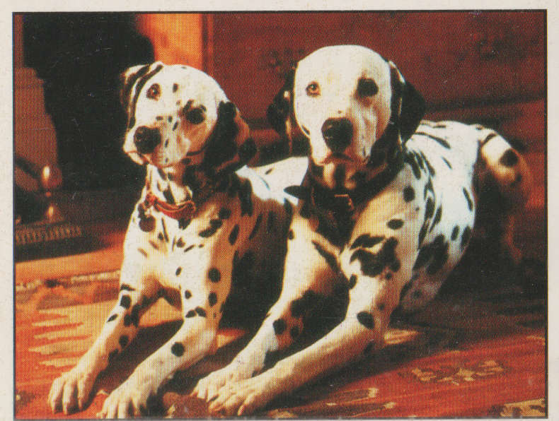 PANINI DISNEYS 101 DALMATIANS COLLECTABLE STICKERS #90