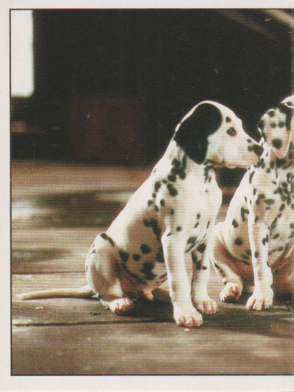 PANINI DISNEYS 101 DALMATIANS COLLECTABLE STICKERS #108