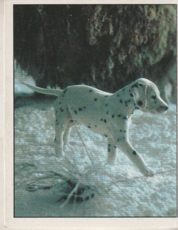 PANINI DISNEYS 101 DALMATIANS COLLECTABLE STICKERS #139