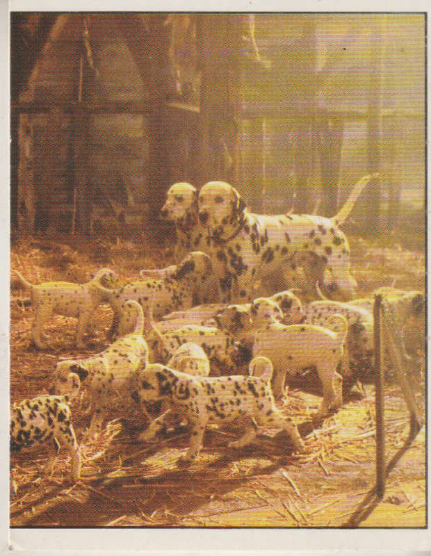 PANINI DISNEYS 101 DALMATIANS COLLECTABLE STICKERS #143