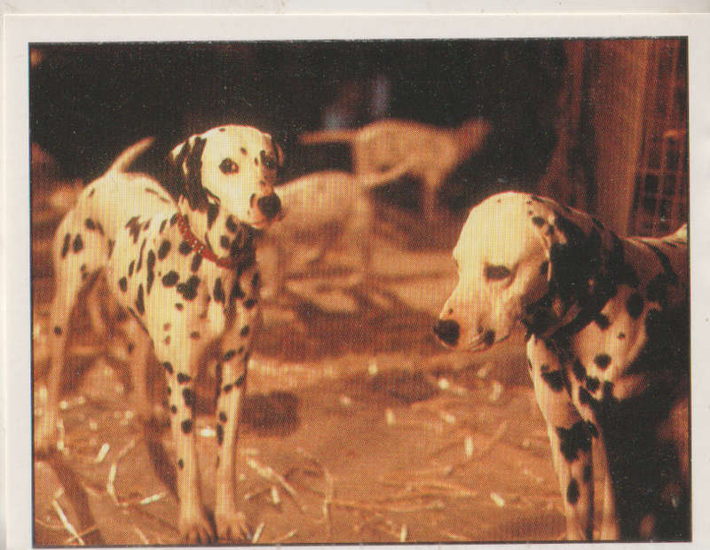 PANINI DISNEYS 101 DALMATIANS COLLECTABLE STICKERS #144
