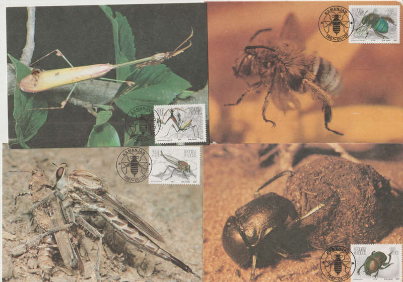 SWA 1987 Useful Insects MAXI CARD/POST CARD SET