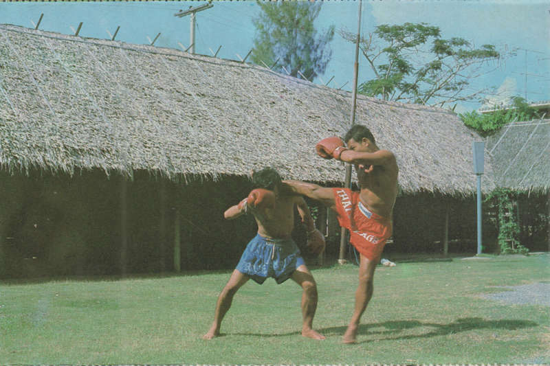 MINT POST CARD