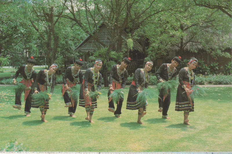 MINT POST CARD