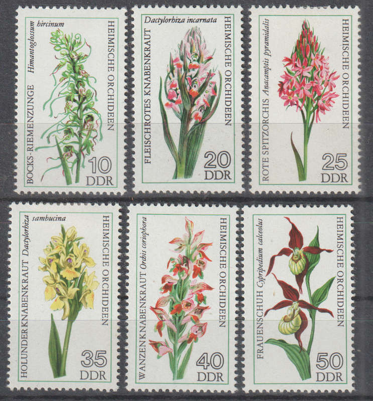 DDR 1976 Orchids ULH SG E1758
