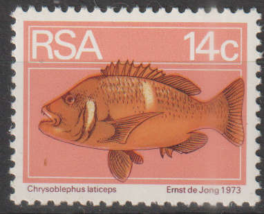 RSA UMM STAMP