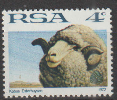 RSA UMM STAMP