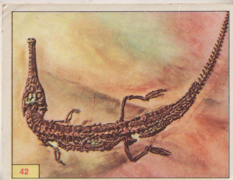 PANINI PREHISTORIC ANIMALS #42