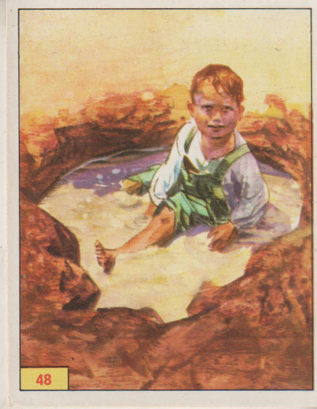 PANINI PREHISTORIC ANIMALS #48