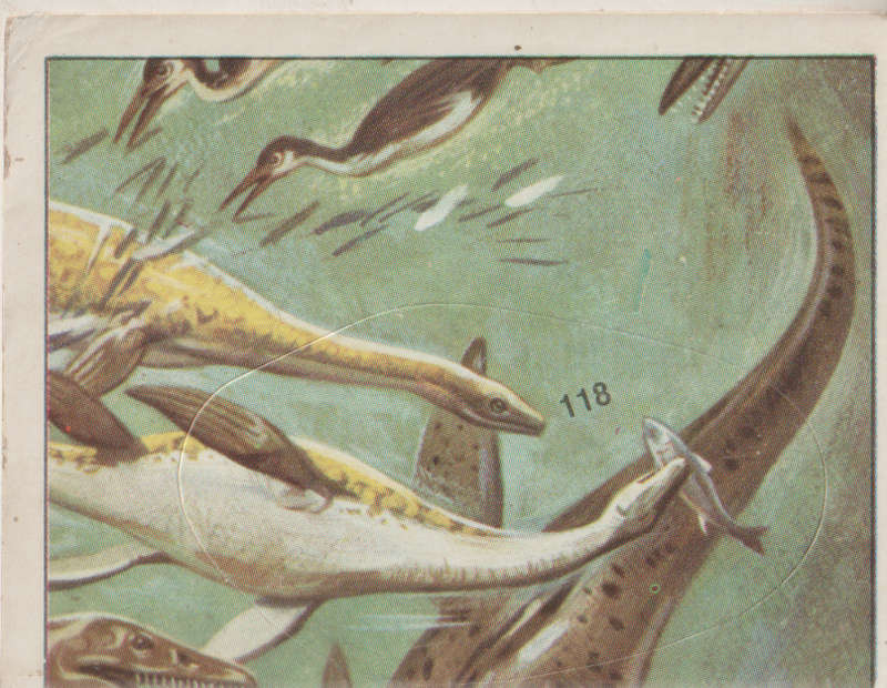 PANINI PREHISTORIC ANIMALS #118