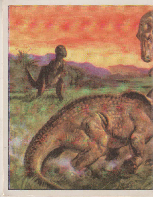 PANINI PREHISTORIC ANIMALS #157