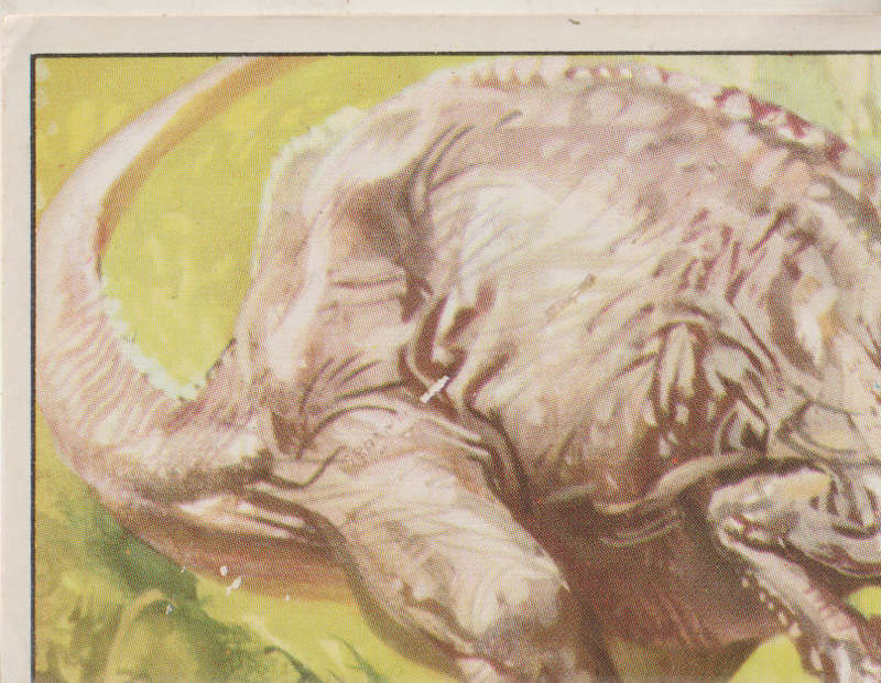 PANINI PREHISTORIC ANIMALS #197