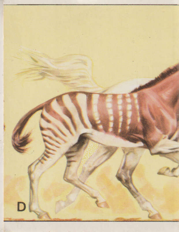 PANINI PREHISTORIC ANIMALS #229