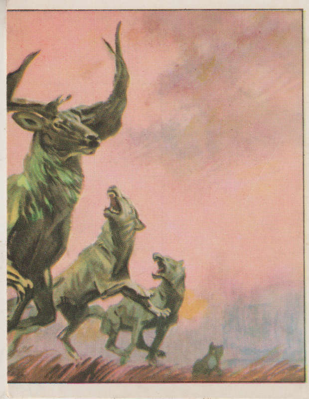 PANINI PREHISTORIC ANIMALS #291