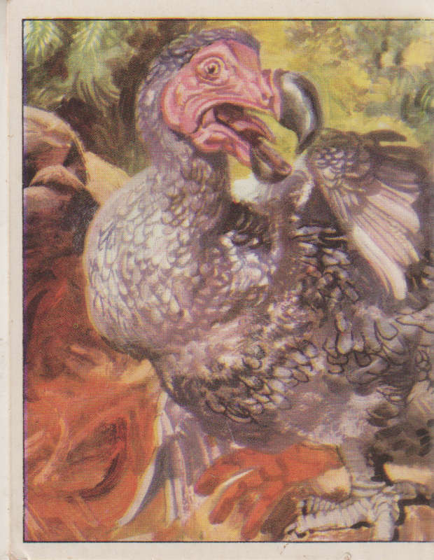 PANINI PREHISTORIC ANIMALS #329