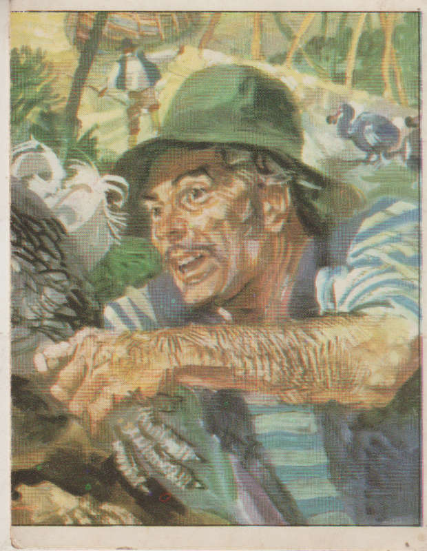 PANINI PREHISTORIC ANIMALS #330