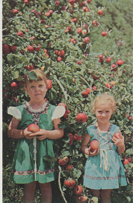 MINT POST CARD
