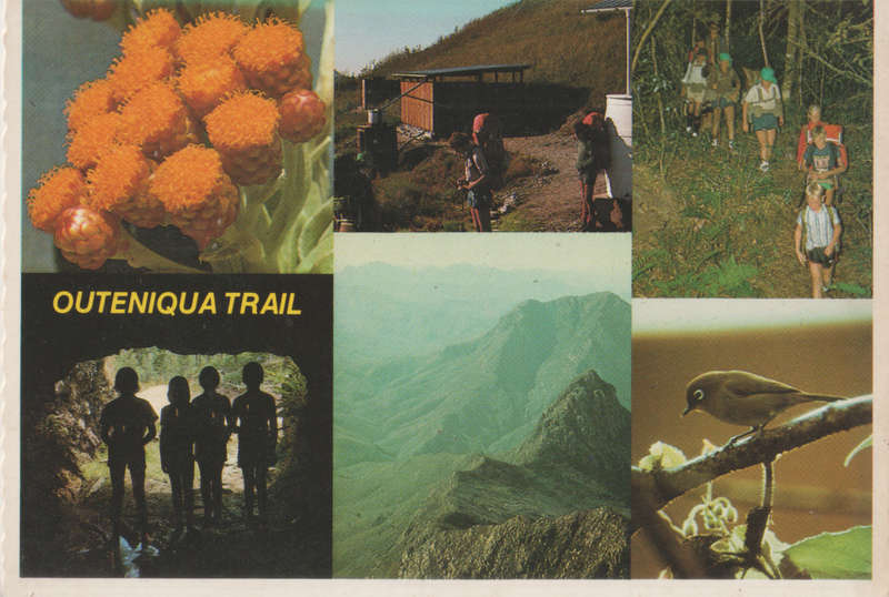 MINT POST CARD SA