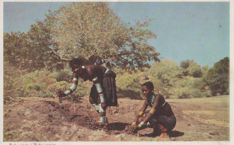 MINT POST CARD SA