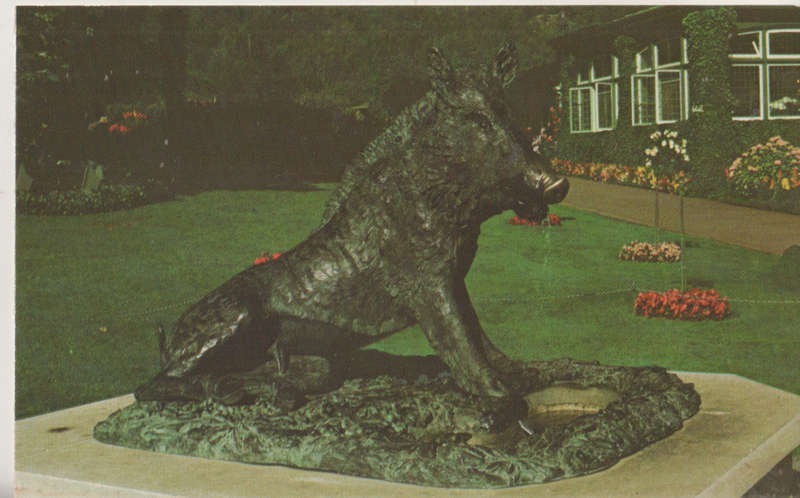 MINT POST CARD