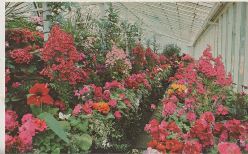 MINT POST CARD