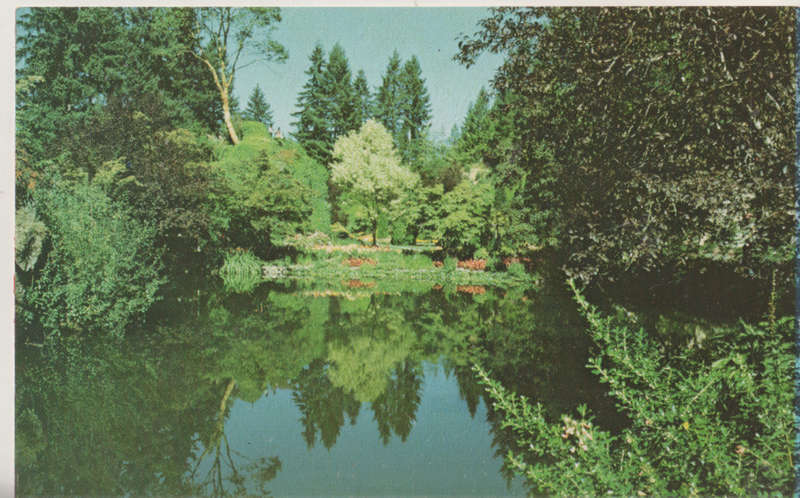 MINT POST CARD