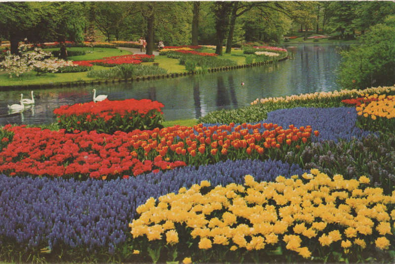 USED POST CARD