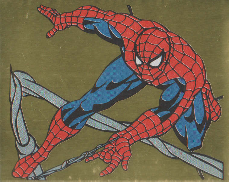 PANINI MARVELS SPIDERMAN COLLECTABLE STICKER #O