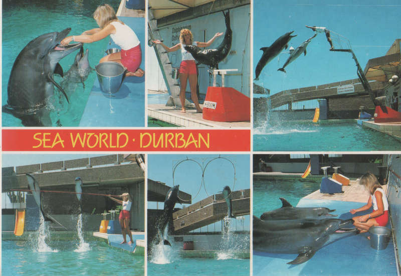 MINT POST CARD SA