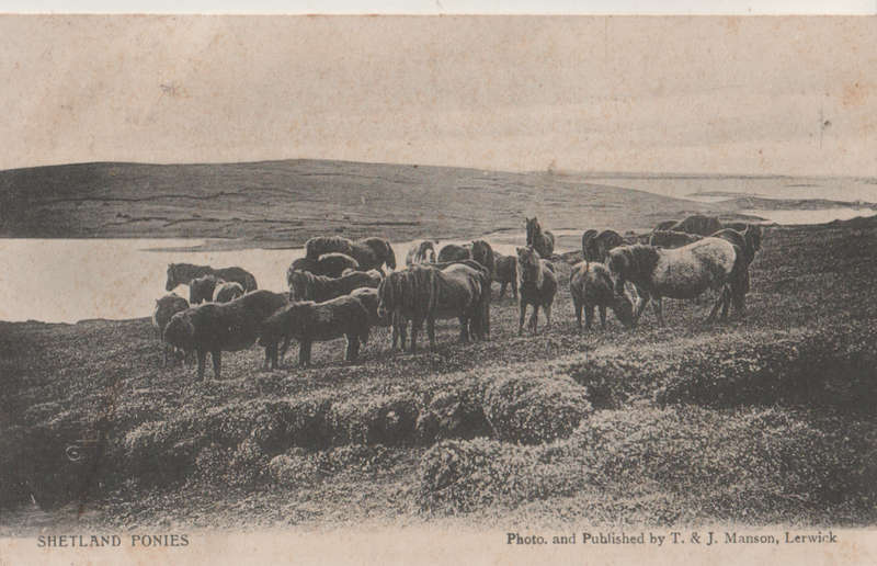 USED POST CARD 1908