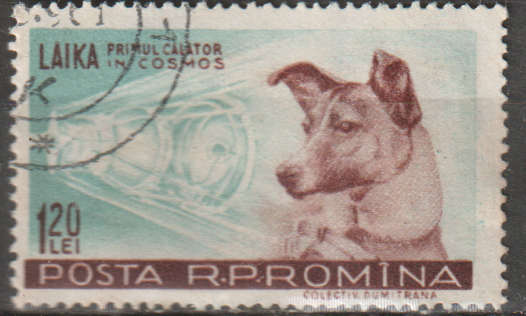 THEMATIC DOGS ROMANIA ULH