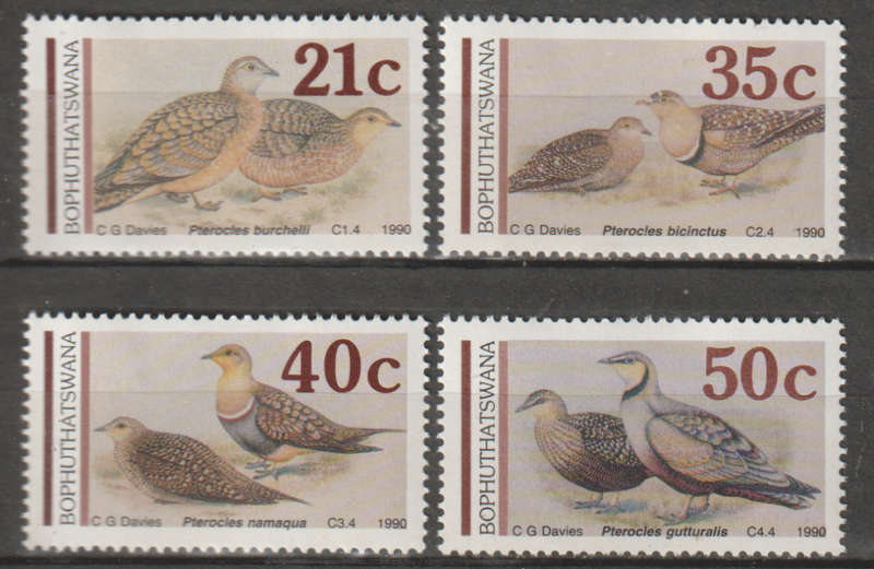 BOPHUTHATSWANA 1990 Sandgrouse - Paintings by Claude Finch-Davies UMM