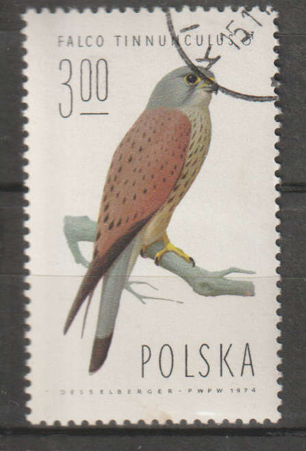THEMATIC BIRDS POLAND CTO