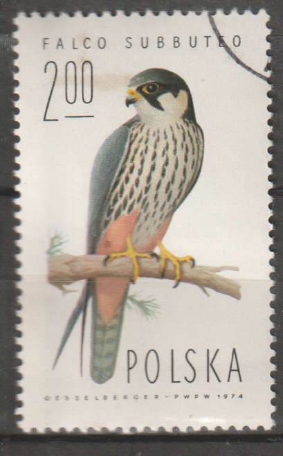 THEMATIC BIRDS POLAND CTO