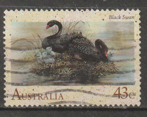 THEMATIC BIRDS AUSTRALIA ULH