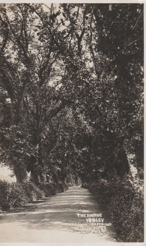 MINT POST CARD