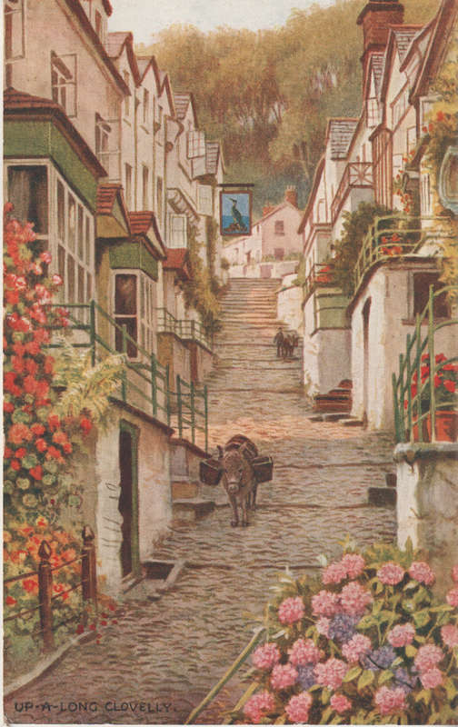 MINT POST CARD