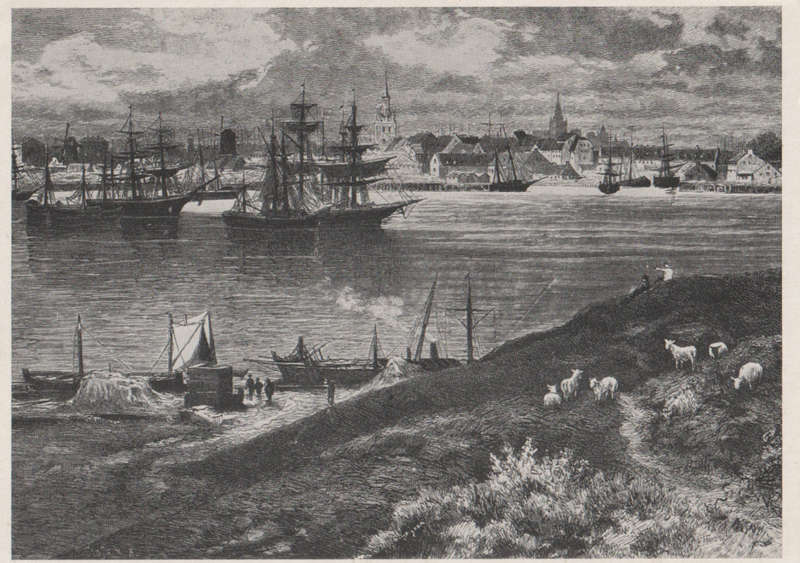 MINT POST CARD
