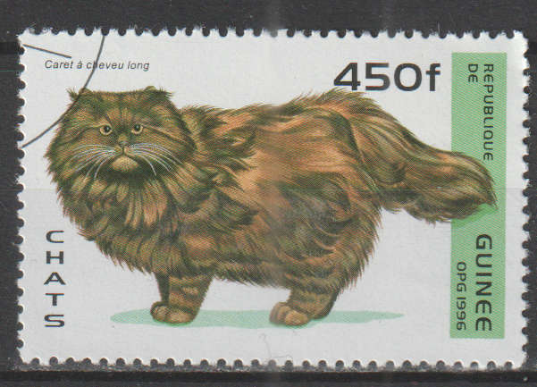 THEMATIC CATS GUINEA UNH