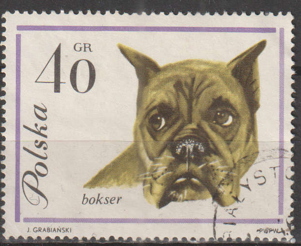 THEMATIC DOGS POLAND ULH