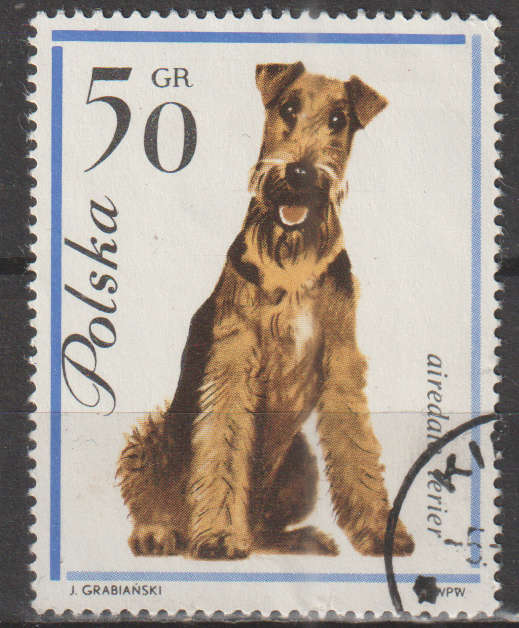 THEMATIC DOGS POLAND ULH