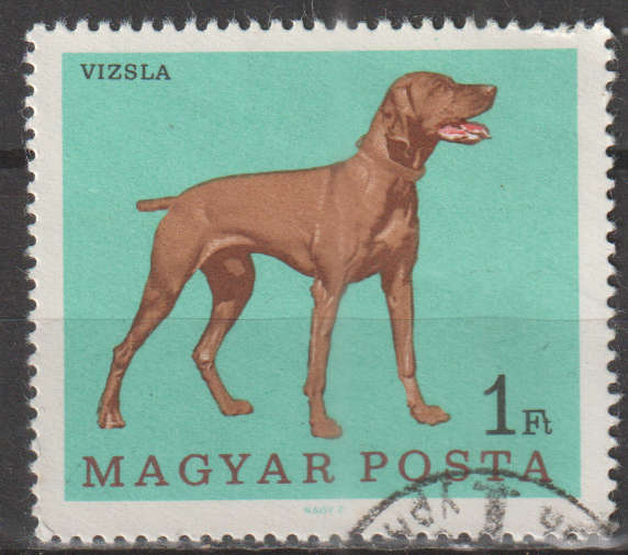 THEMATIC DOGS HUNGARY UNH