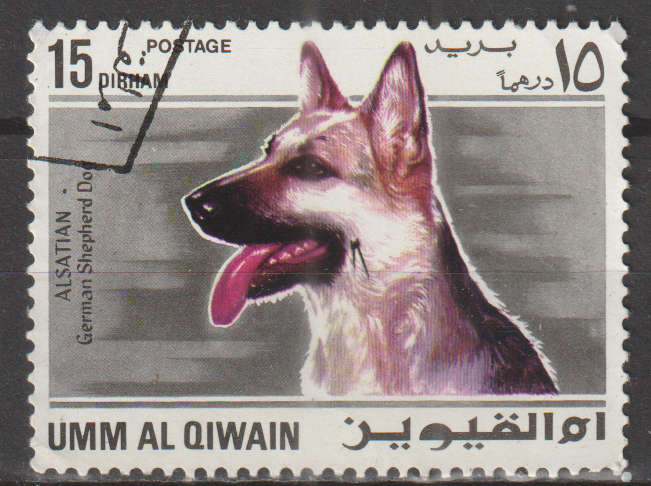 THEMATIC DOGS UMM AL QWAIN