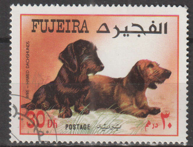 THEMATIC DOGS FUJEIRA CTO