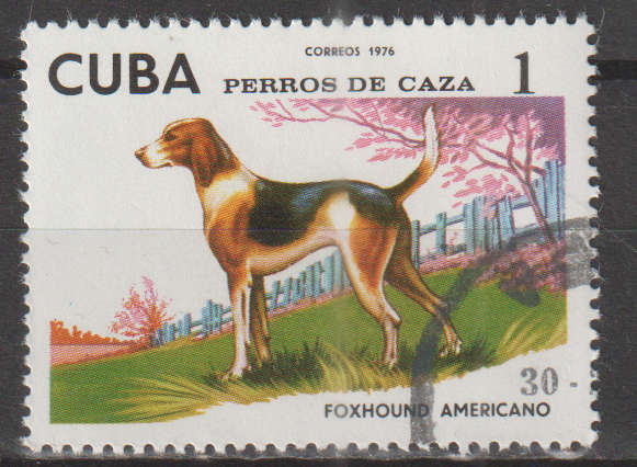 THEMATIC DOGS CUBA CTO